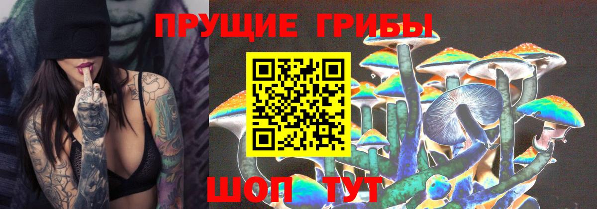 Магнитогорск  Псилоцибиновые грибы мухоморы  Вход с VPN 