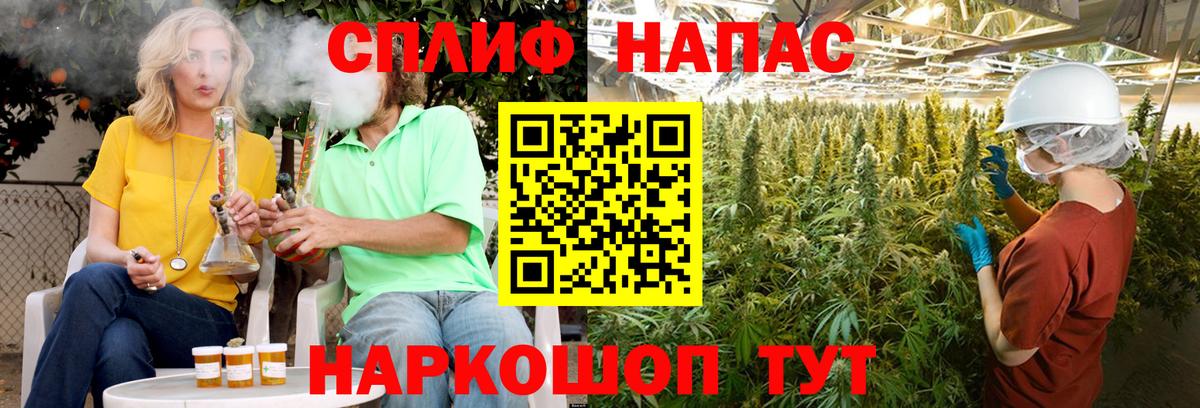 Магнитогорск  Шишки марихуана Bruce Banner  Каннабис семена  Шишки марихуана гибрид  Вход с VPN 